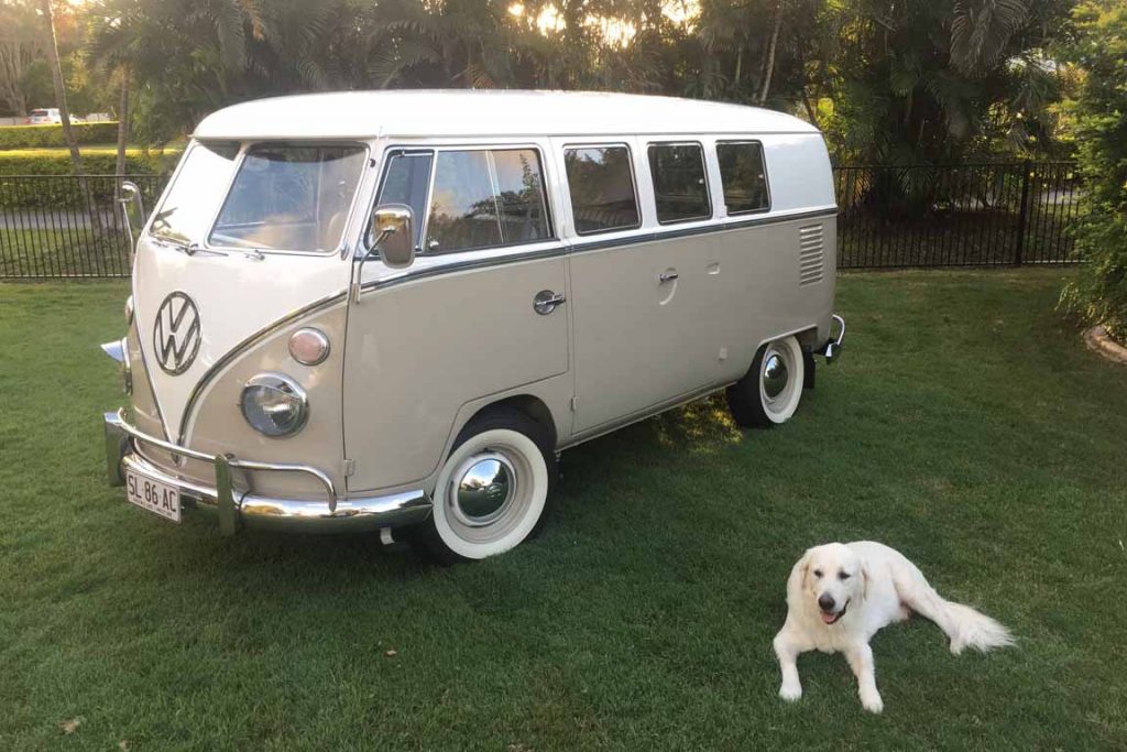 Royboy - the Kombi - with a labrador lying on the grass nearby